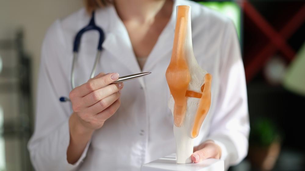 Female,Physiotherapist,Holds,Anatomical,Model,Of,Human,Knee,Joint,And
